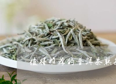 值得推荐的普洱茶熟茶/2023100739593