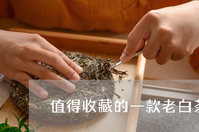 值得收藏的一款老白茶品牌/2023111627072