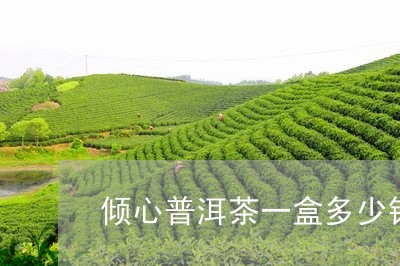 倾心普洱茶一盒多少钱/2023092630372