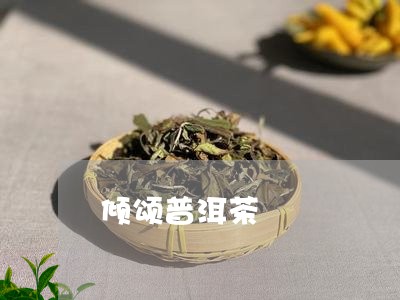 倾颂普洱茶/2023090627060