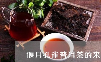 偃月孔雀普洱茶的来历/2023062412937