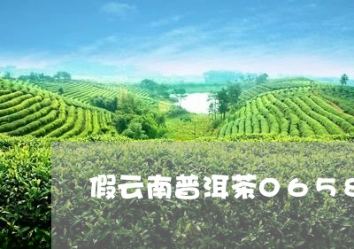 假云南普洱茶0658/2023062896140