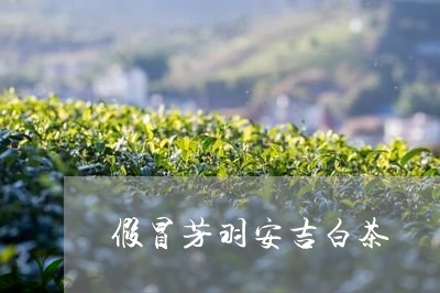 假冒芳羽安吉白茶/2023061300402