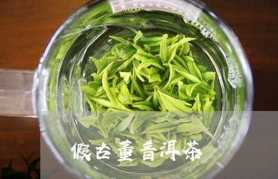 假古董普洱茶/2023042670634