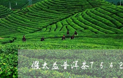 假大益普洱茶7542/2023100662713