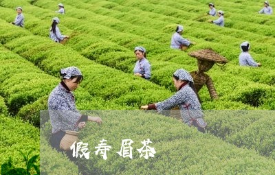 假寿眉茶/2023082617268