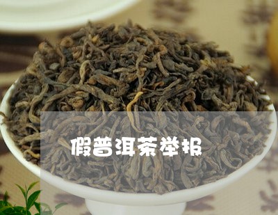 假普洱茶举报/2023042676338