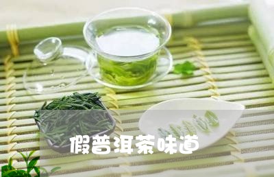 假普洱茶味道/2023042674520