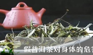 假普洱茶对身体的危害/2023092900403