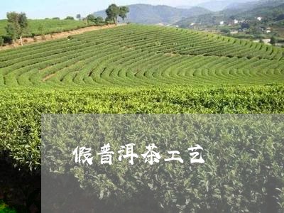 假普洱茶工艺/2023042782408