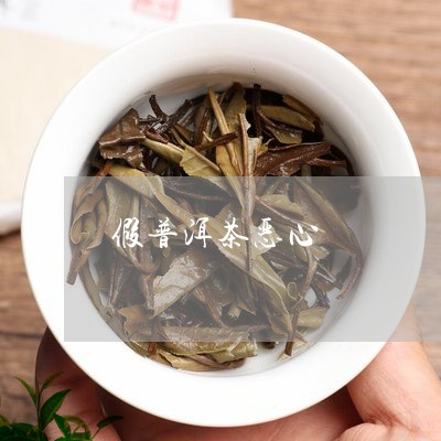 假普洱茶恶心/2023042797051