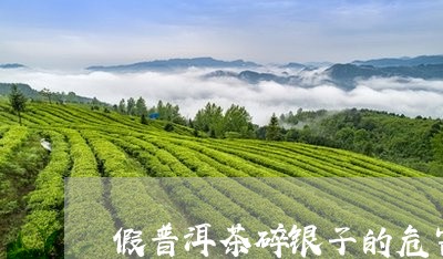 假普洱茶碎银子的危害/2023062270693