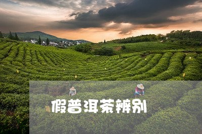 假普洱茶辨别/2023042797387