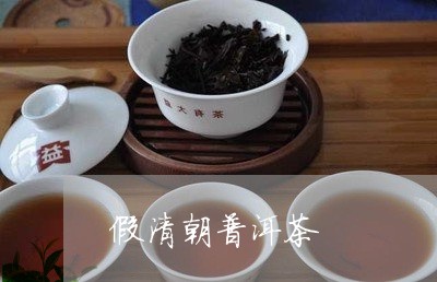 假清朝普洱茶/2023042647840