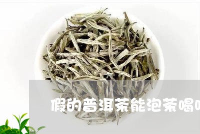 假的普洱茶能泡茶喝吗/2023092678593