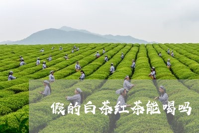 假的白茶红茶能喝吗/2023081223836