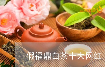 假福鼎白茶十大网红/2023081283816