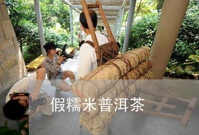 假糯米普洱茶/2023042887290