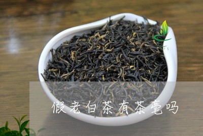 假老白茶有茶毫吗/2023082537258