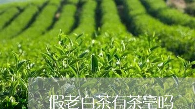 假老白茶有茶毫吗/2023111720692