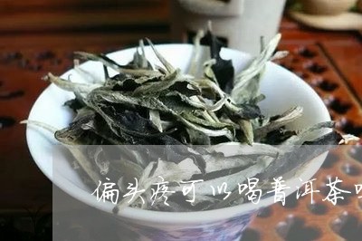 偏头疼可以喝普洱茶吗/2023093012605