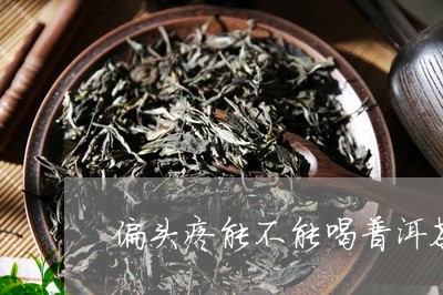 偏头疼能不能喝普洱茶/2023092661804