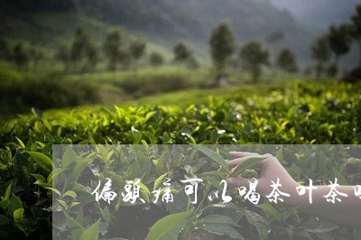 偏头痛可以喝茶叶茶吗/2023061119359