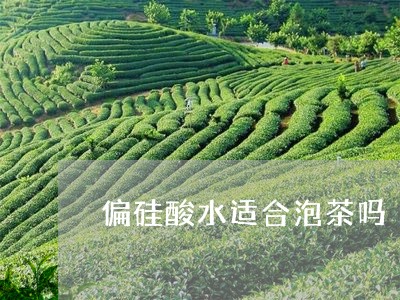 偏硅酸水适合泡茶吗/2023042226170