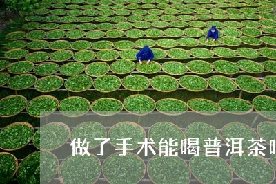 做了手术能喝普洱茶吗/2023062270704