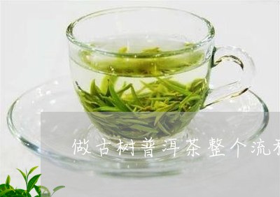 做古树普洱茶整个流程/2023112567169