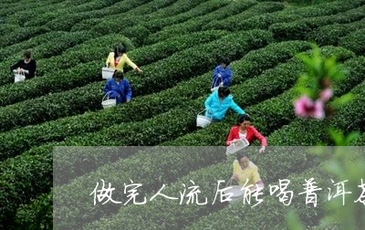 做完人流后能喝普洱茶/2023092738273