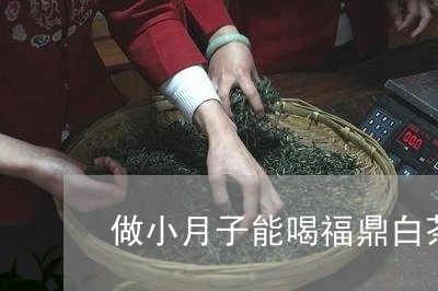 做小月子能喝福鼎白茶吗/2023092179825