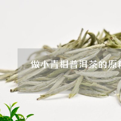 做小青柑普洱茶的原料/2023061948158