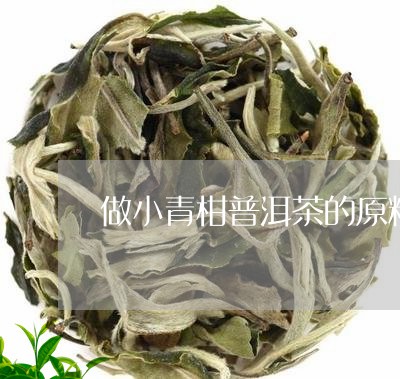 做小青柑普洱茶的原料/2023093048268