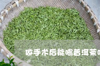 做手术后能喝普洱茶吗/2023092764715