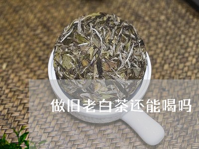 做旧老白茶还能喝吗/2023121701582