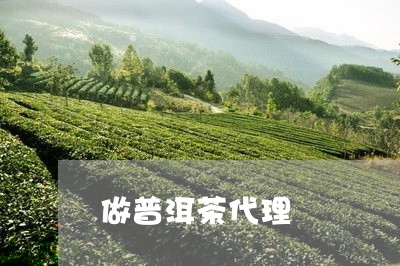 做普洱茶代理/2023090675746