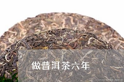 做普洱茶六年/2023121347147