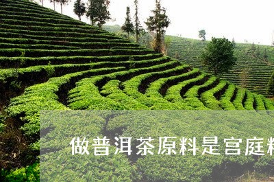 做普洱茶原料是宫庭料/2023093085039