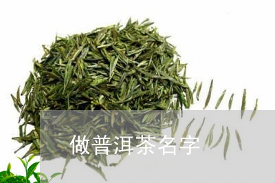 做普洱茶名字/2023042786462