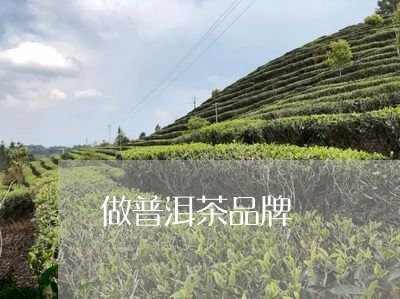 做普洱茶品牌/2023042749725