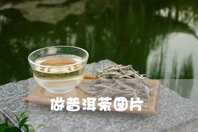 做普洱茶图片/2023101648785