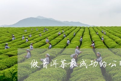 做普洱茶最成功的公司/2023120601815