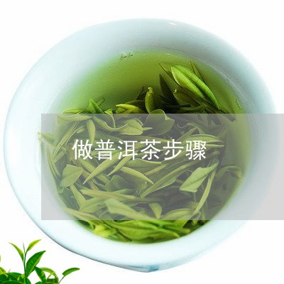 做普洱茶步骤/2023042793790