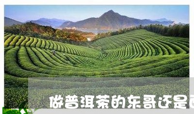 做普洱茶的东哥还是西哥/2023082861515