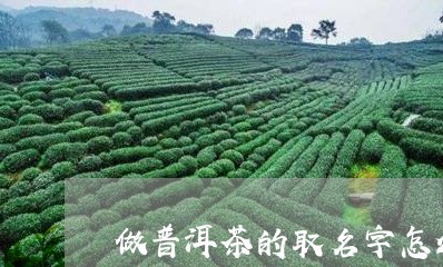 做普洱茶的取名字怎么取/2023121351706