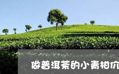 做普洱茶的小青柑价格/2023062024846