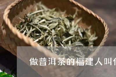 做普洱茶的福建人叫什么/2023081491606