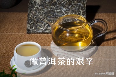 做普洱茶的艰辛/2023102630707