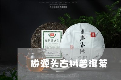 做源头古树普洱茶/2023121394047